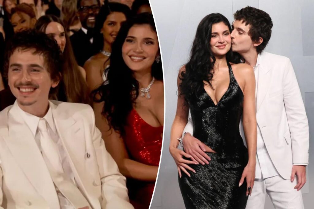 Timothée Chalamet Oscars snub