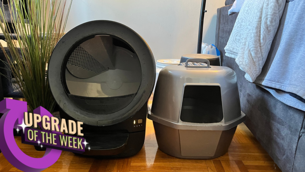 self-cleaning litter boxes