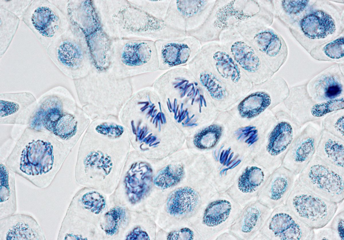 Image source: the-scientist.com - for informational purposes.