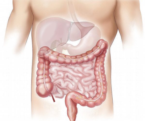 Image source: medicalxpress.com - for informational purposes.