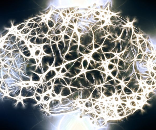 Image source: medicalxpress.com - for informational purposes.