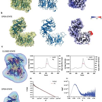 Chagas disease vaccine