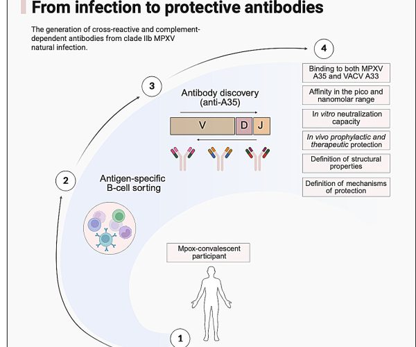 Image source: medicalxpress.com - for informational purposes.