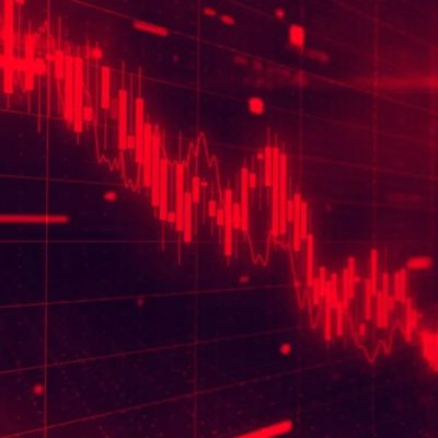 VIP Industries market share