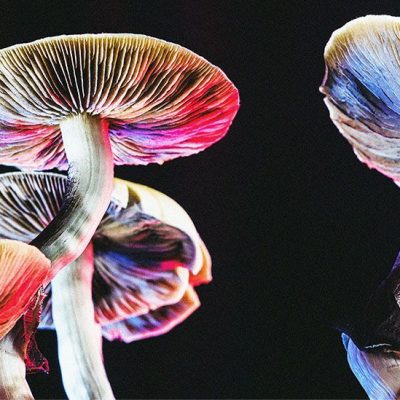 Image source: medicalnewstoday.com - for informational purposes.