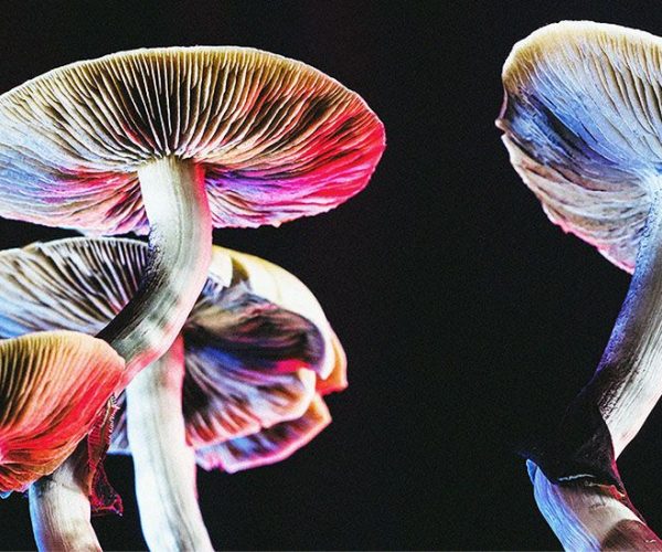 Image source: medicalnewstoday.com - for informational purposes.