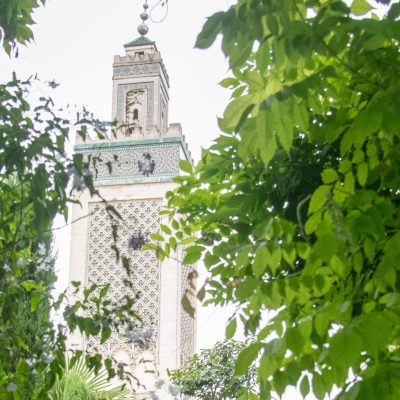 Arabic culture in Paris