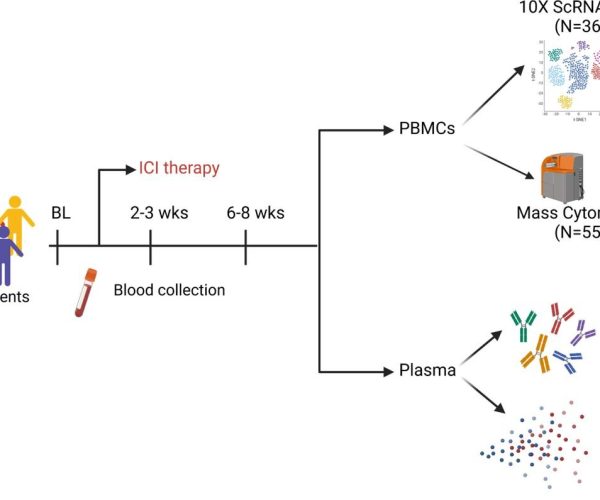 cancer immunotherapy biomarkers