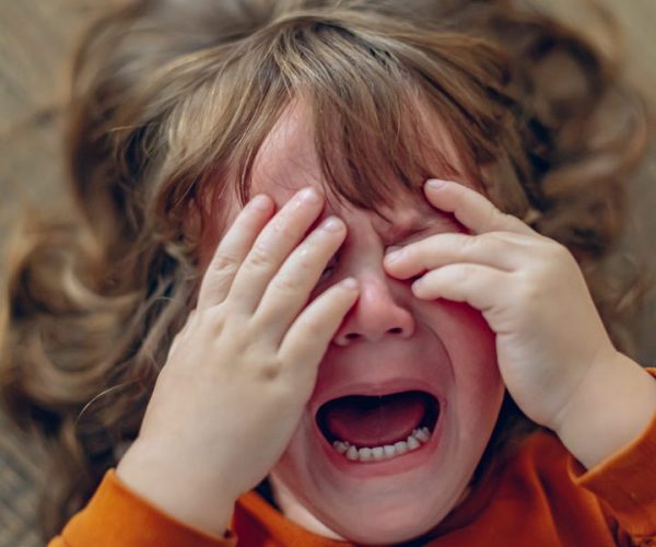 family therapist meltdowns
