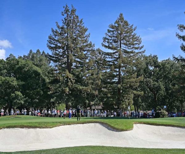 Procore Championship