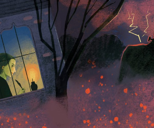 A World Without Summer