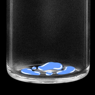 Trump health policies