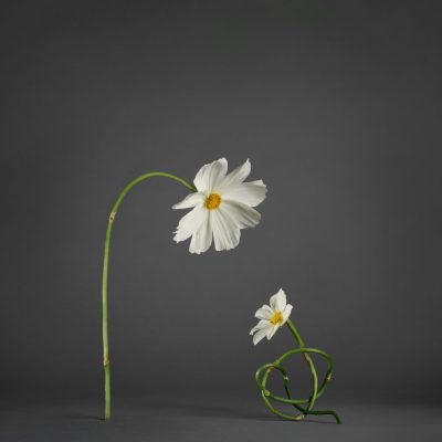 art about children