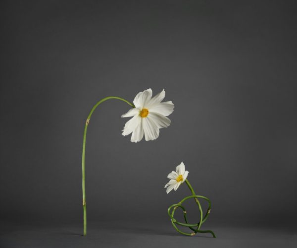 art about children