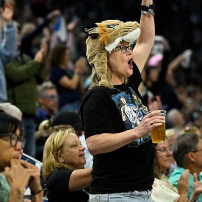 WNBA popularity among males