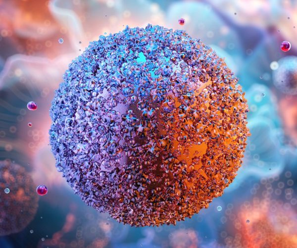 PCR testing cell therapies