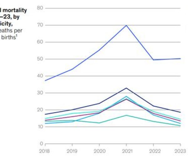 maternal health gap
