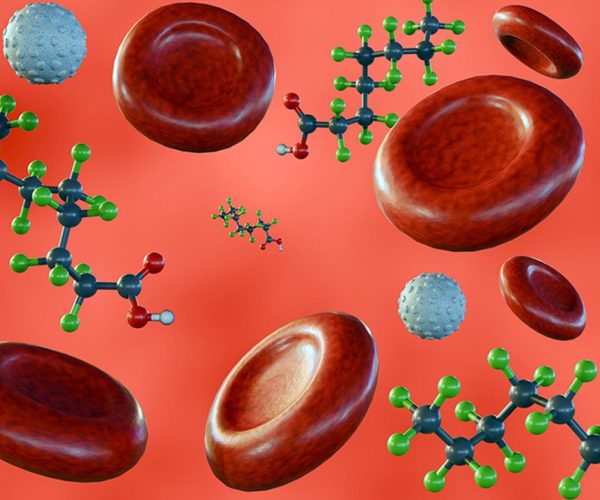 PFAS exposure effects