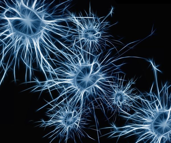 Alzheimer's protein interaction