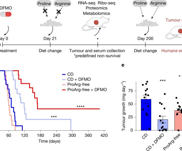 neuroblastoma treatment