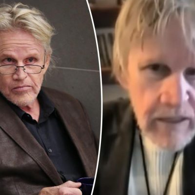 Gary Busey groping case