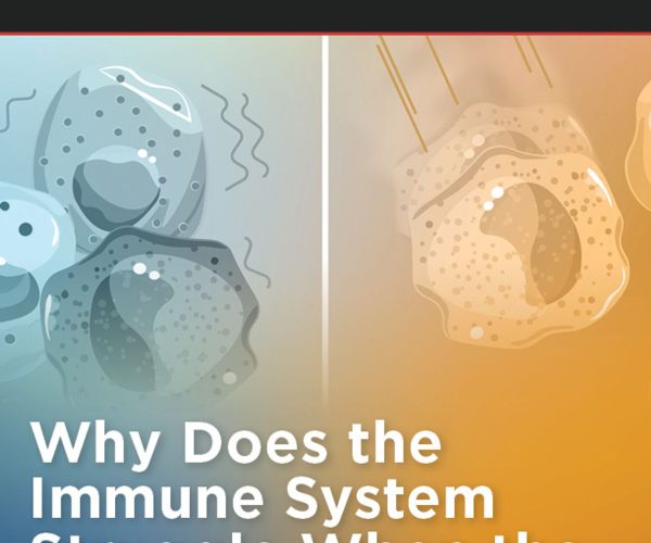 immune system weather changes