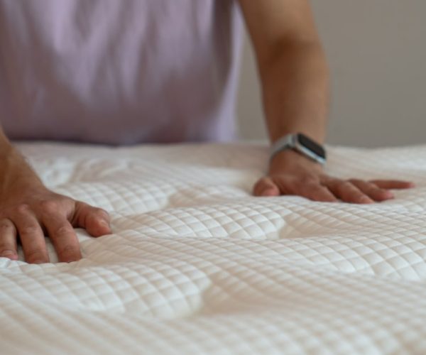 bed bugs