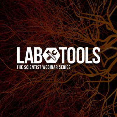 advanced cell models