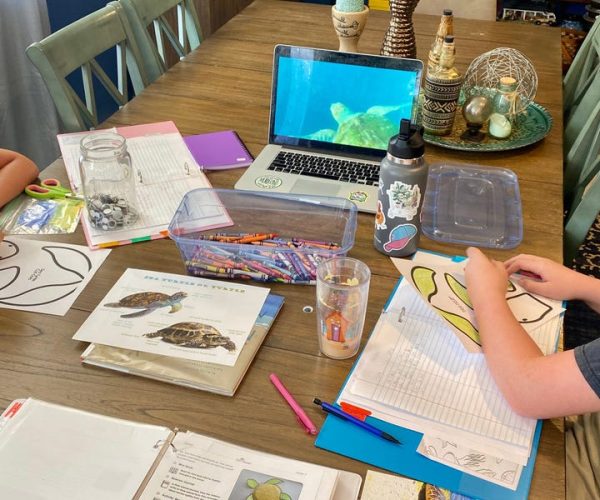 homeschooling misconceptions