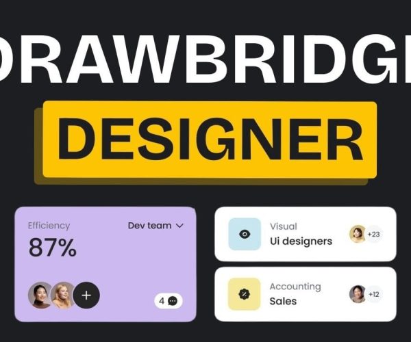 Drawbridge AI