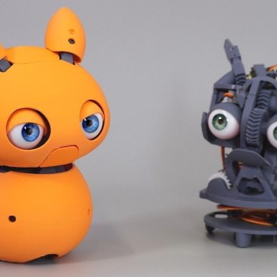 Raspberry Pi pet robot