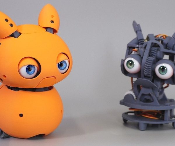 Raspberry Pi pet robot