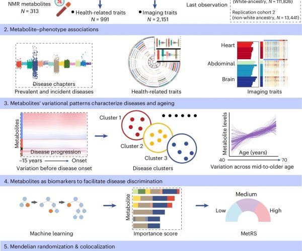 blood chemistry disease prediction