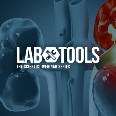 immunovirology modeling