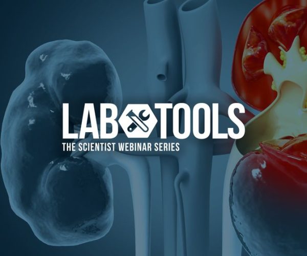 immunovirology modeling