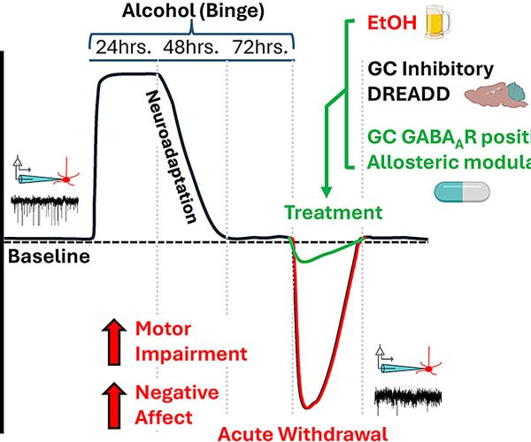 alcohol withdrawal symptoms
