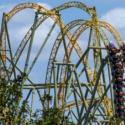 roller coaster death