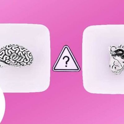 gut instinct relationships