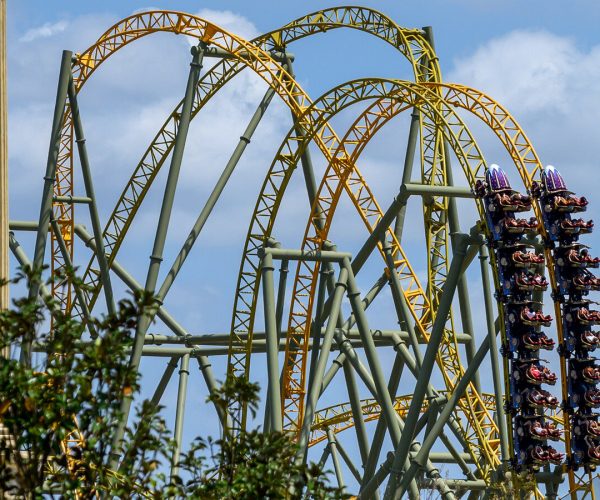 roller coaster death