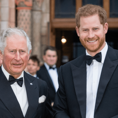 Prince Harry reunion
