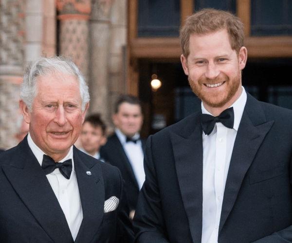 Prince Harry reunion