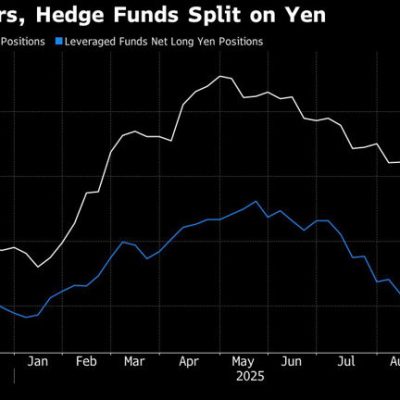 Japan election hedge funds