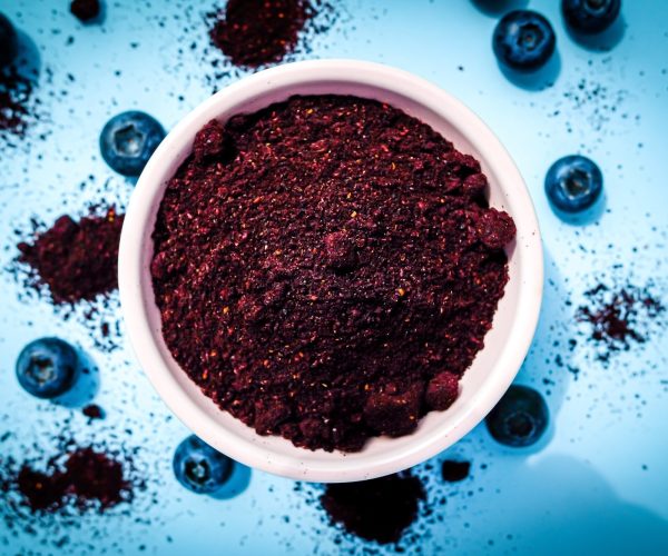 blueberries microbiota