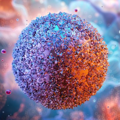 PCR testing cell therapies