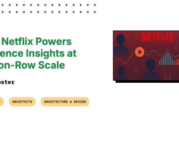 Netflix audience insights