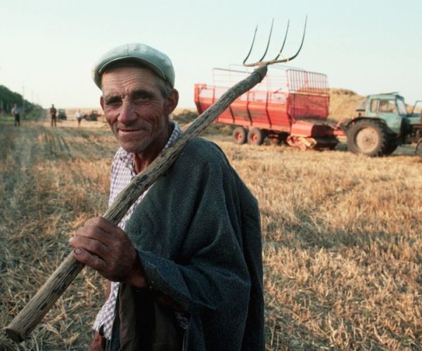 Image source: forbes.com - for informational purposes.