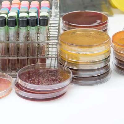 bacterial culture best practices