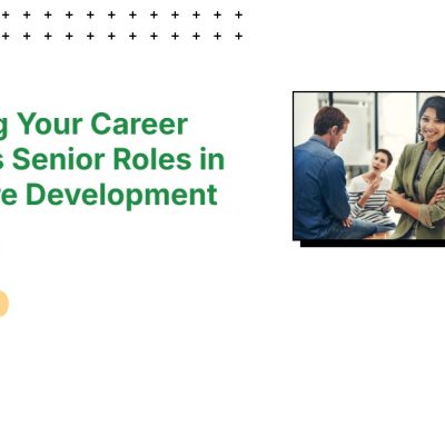 senior software developer