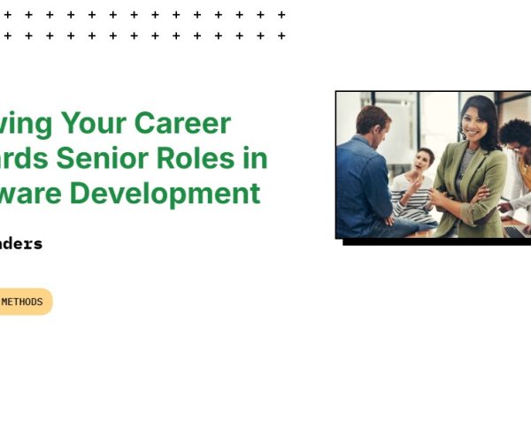 senior software developer