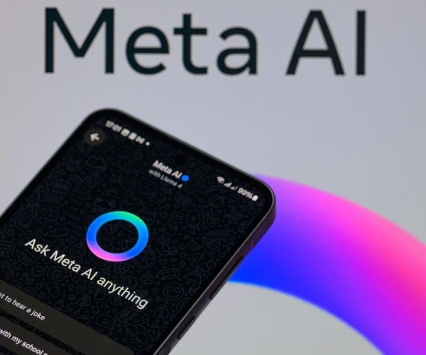 Meta AI ads data